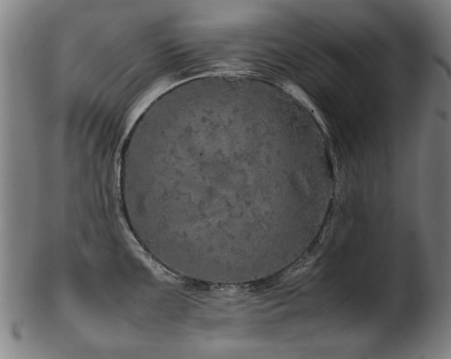 X0000103431099200809121324