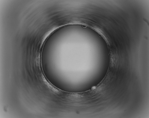X0000103431100200809121324