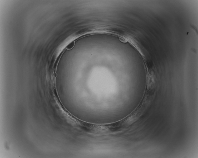 X0000103431101200809121324