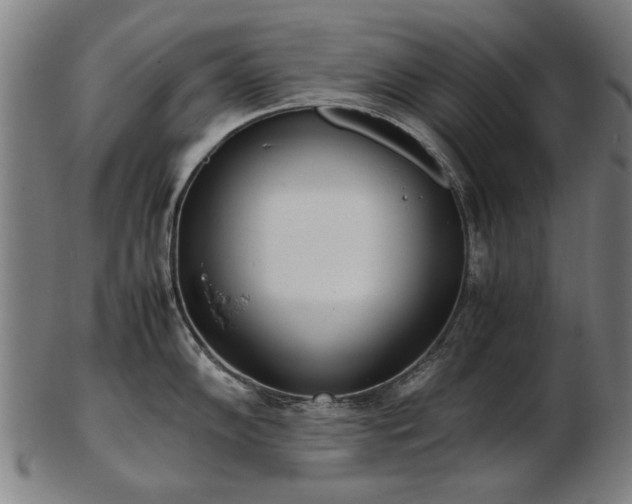 X0000103431102200809121324