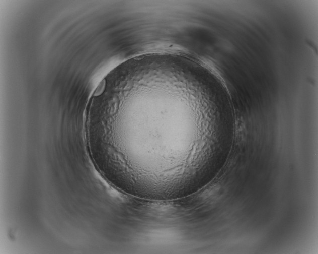 X0000103431103200809121324