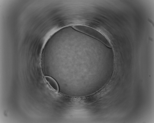 X0000103431104200809121324