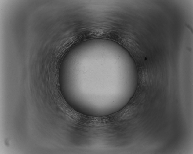 X0000103431105200809121323