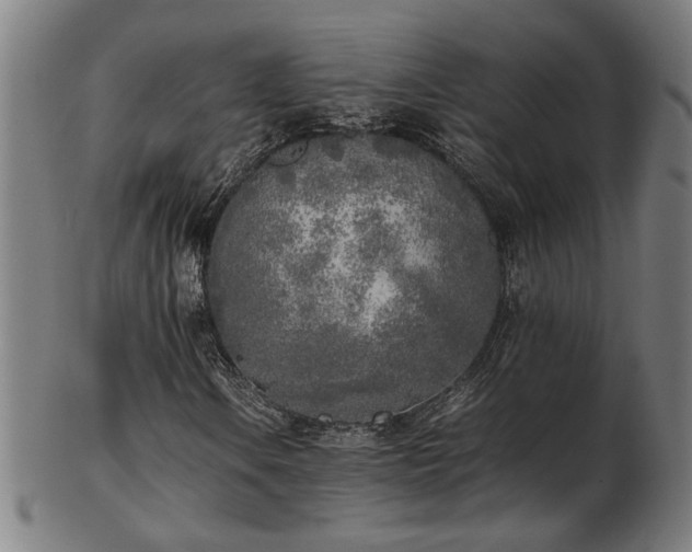 X0000103431106200809121323
