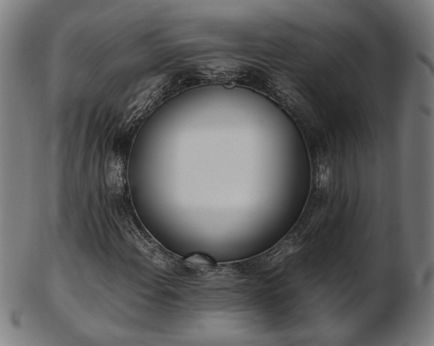 X0000103431108200809121323