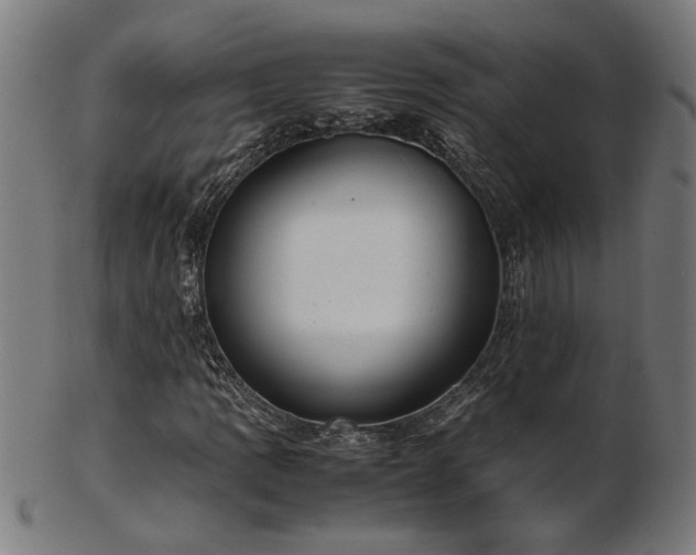 X0000103431109200809121323
