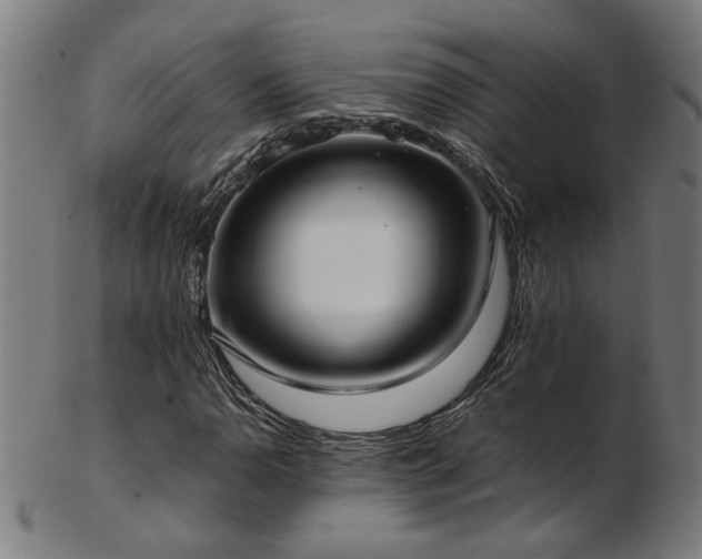 X0000103431110200809121323