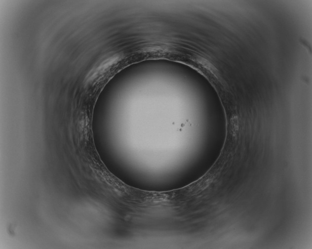 X0000103431111200809121323