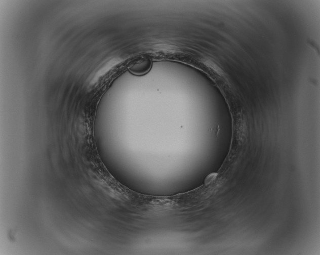X0000103431112200809121323