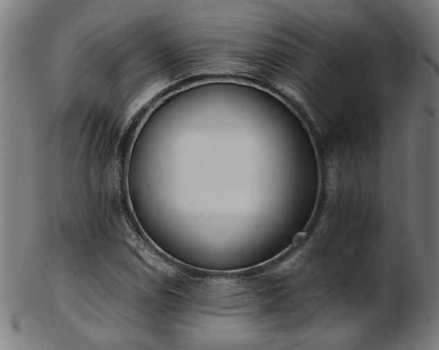 X0000103431114200809121323