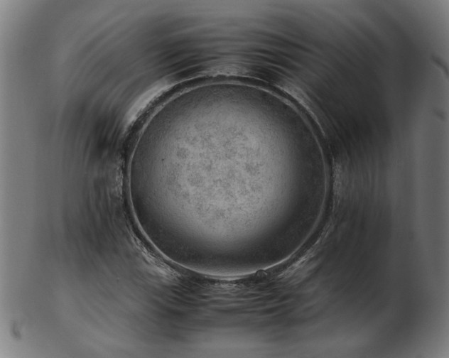X0000103431115200809121323
