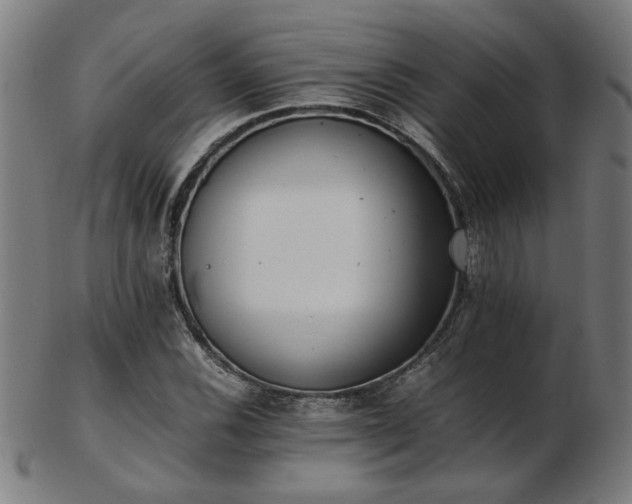 X0000103431116200809121323