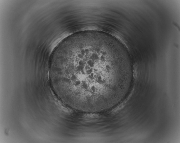 X0000103431117200809121323