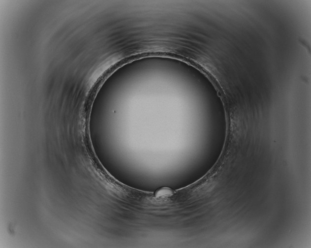 X0000103431119200809121323