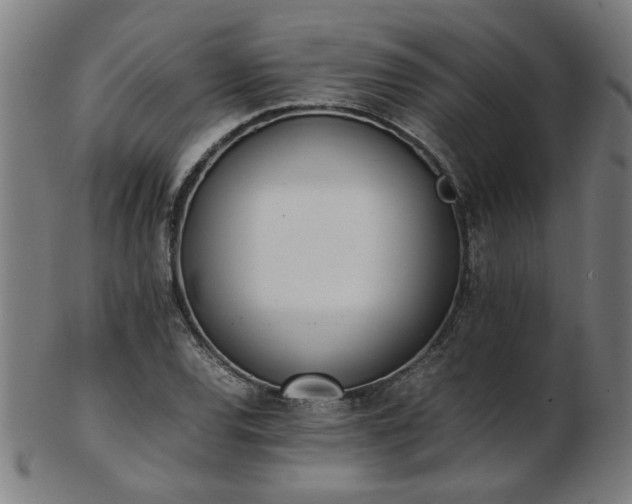 X0000103431120200809121323