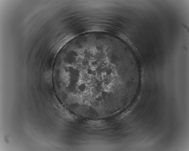 X0000103431121200809121323