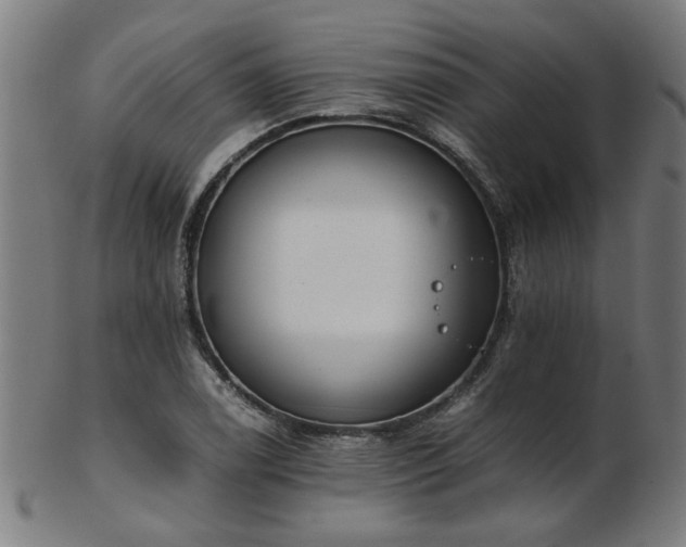X0000103431122200809121323