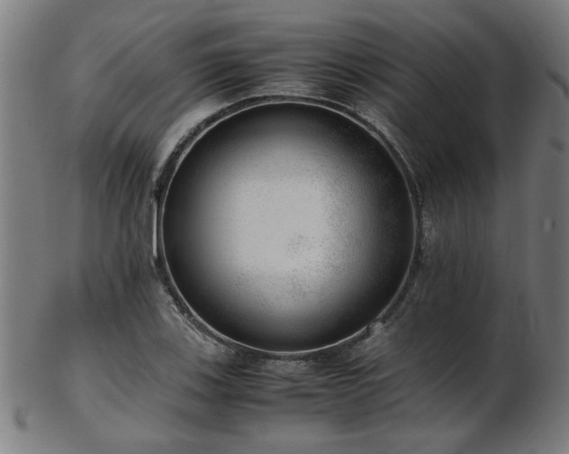 X0000103431123200809121323