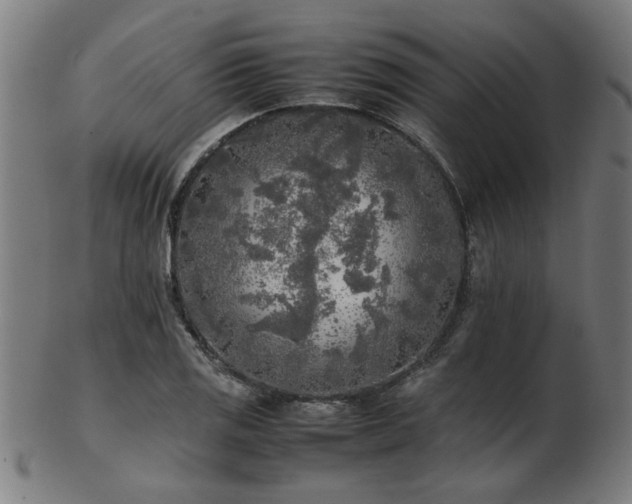 X0000103431125200809121323