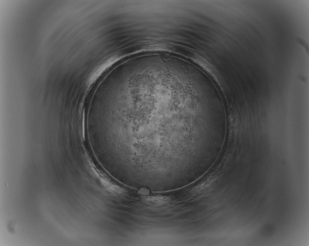X0000103431127200809121323