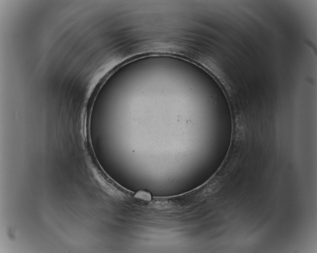 X0000103431128200809121324