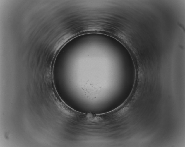 X0000103431129200809121324