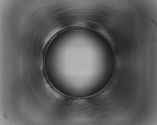 X0000103431131200809121324