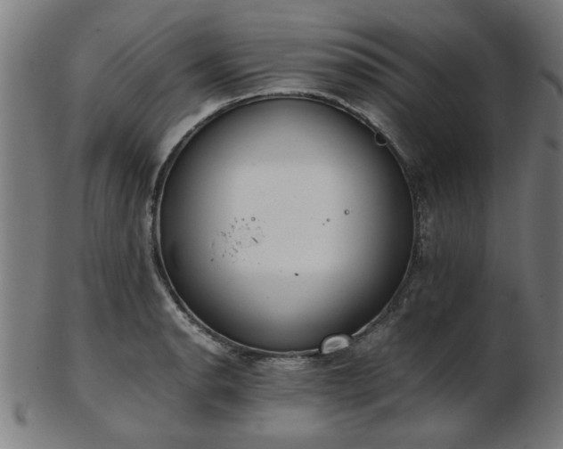 X0000103431134200809121324