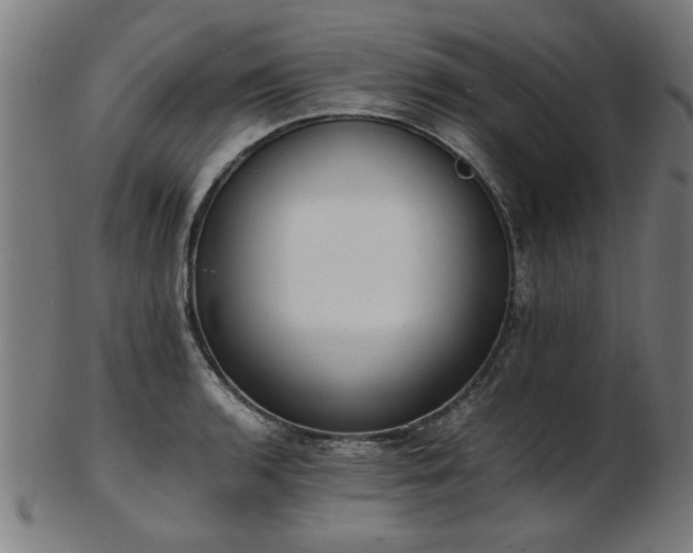 X0000103431136200809121324