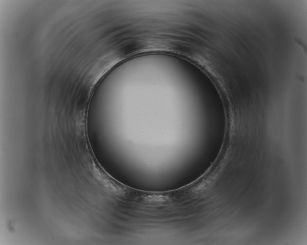 X0000103431137200809121324