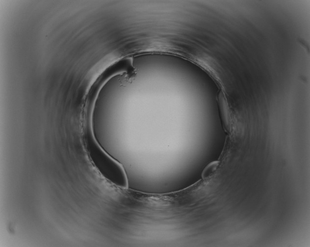 X0000103431138200809121324