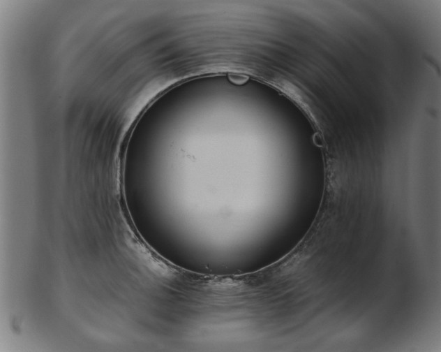 X0000103431140200809121324