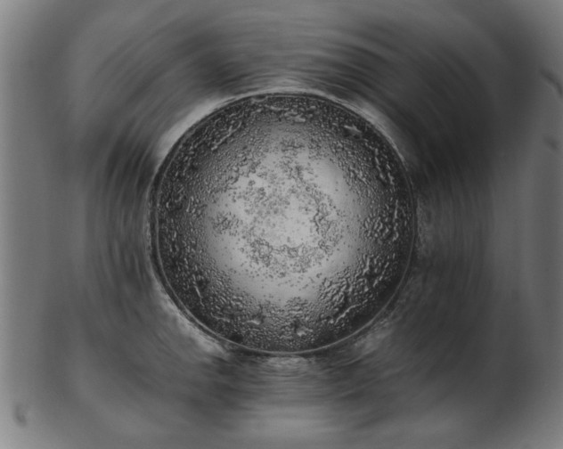X0000103431142200809121324