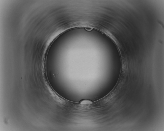 X0000103431144200809121324