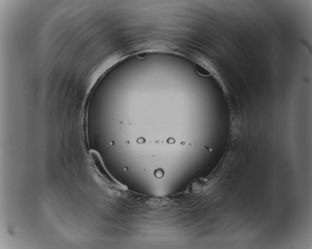 X0000103431146200809121324