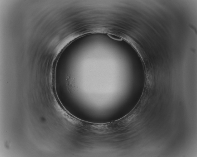 X0000103431147200809121324