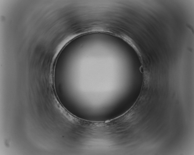 X0000103431148200809121324