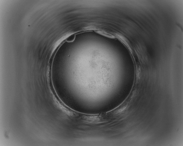 X0000103431149200809121324