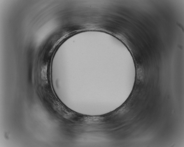 X0000103431150200809121324