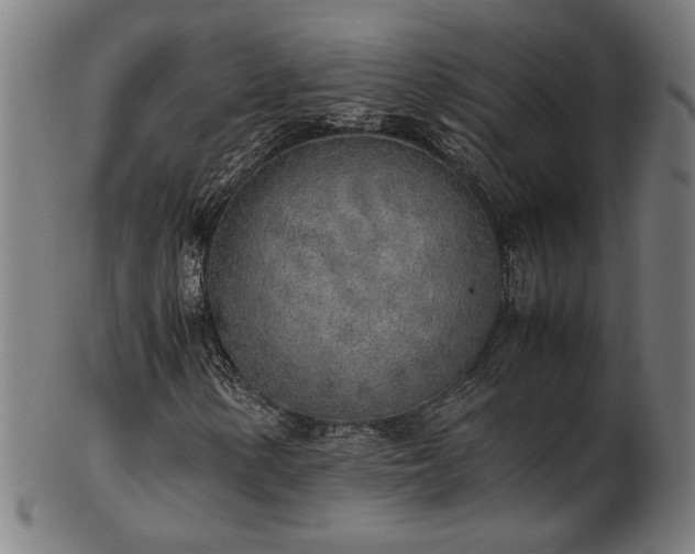 X0000103431154200809121323
