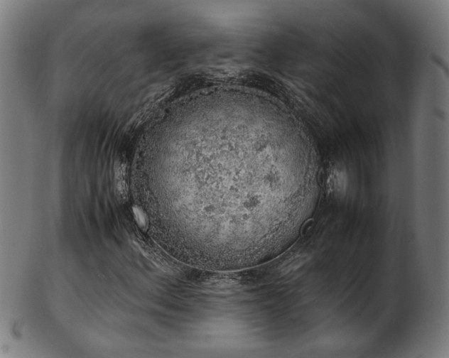 X0000103431156200809121323