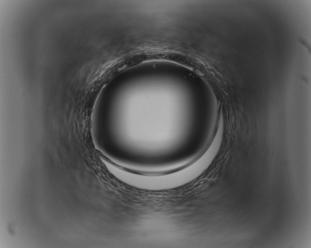 X0000103431157200809121323