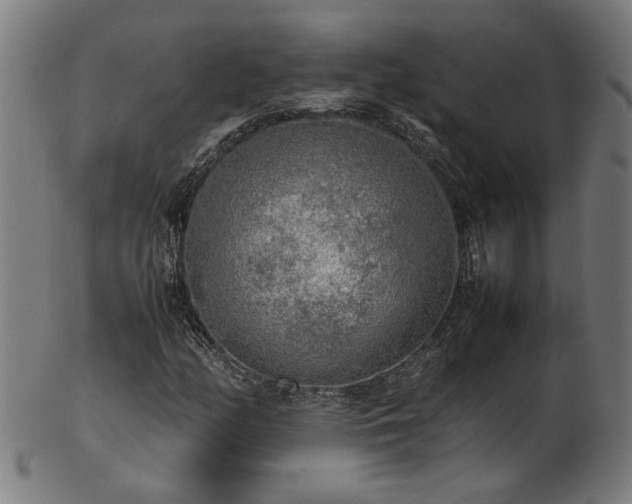 X0000103431158200809121323