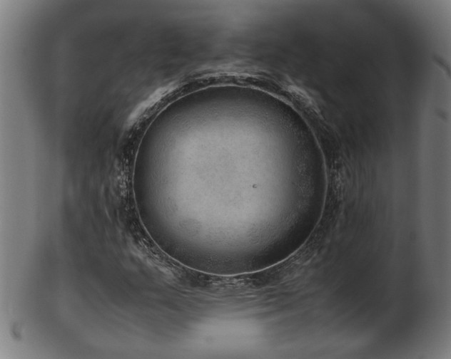 X0000103431159200809121323
