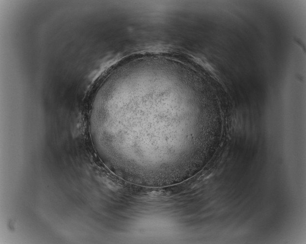 X0000103431160200809121323