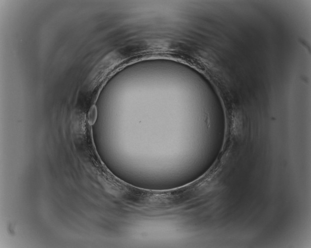 X0000103431161200809121323