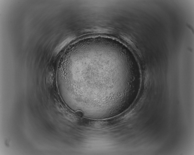 X0000103431163200809121323