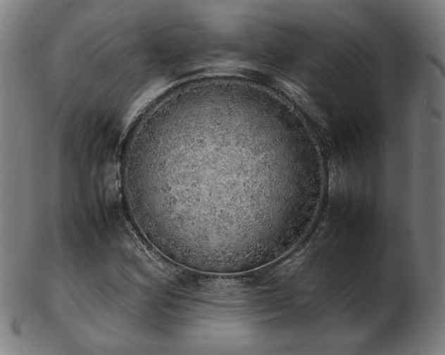 X0000103431164200809121323