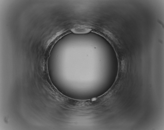 X0000103431165200809121323
