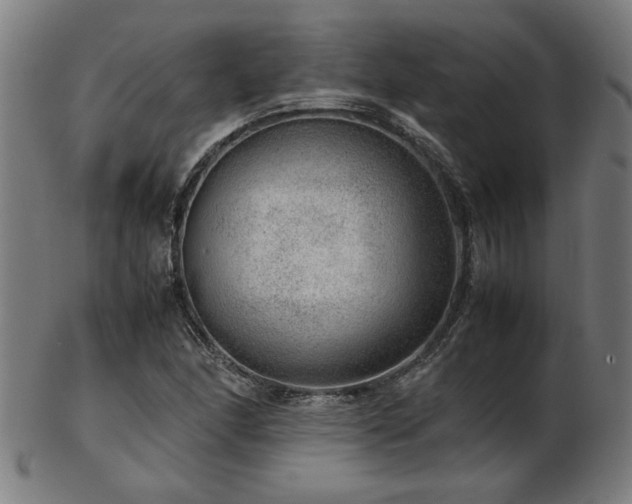 X0000103431166200809121323